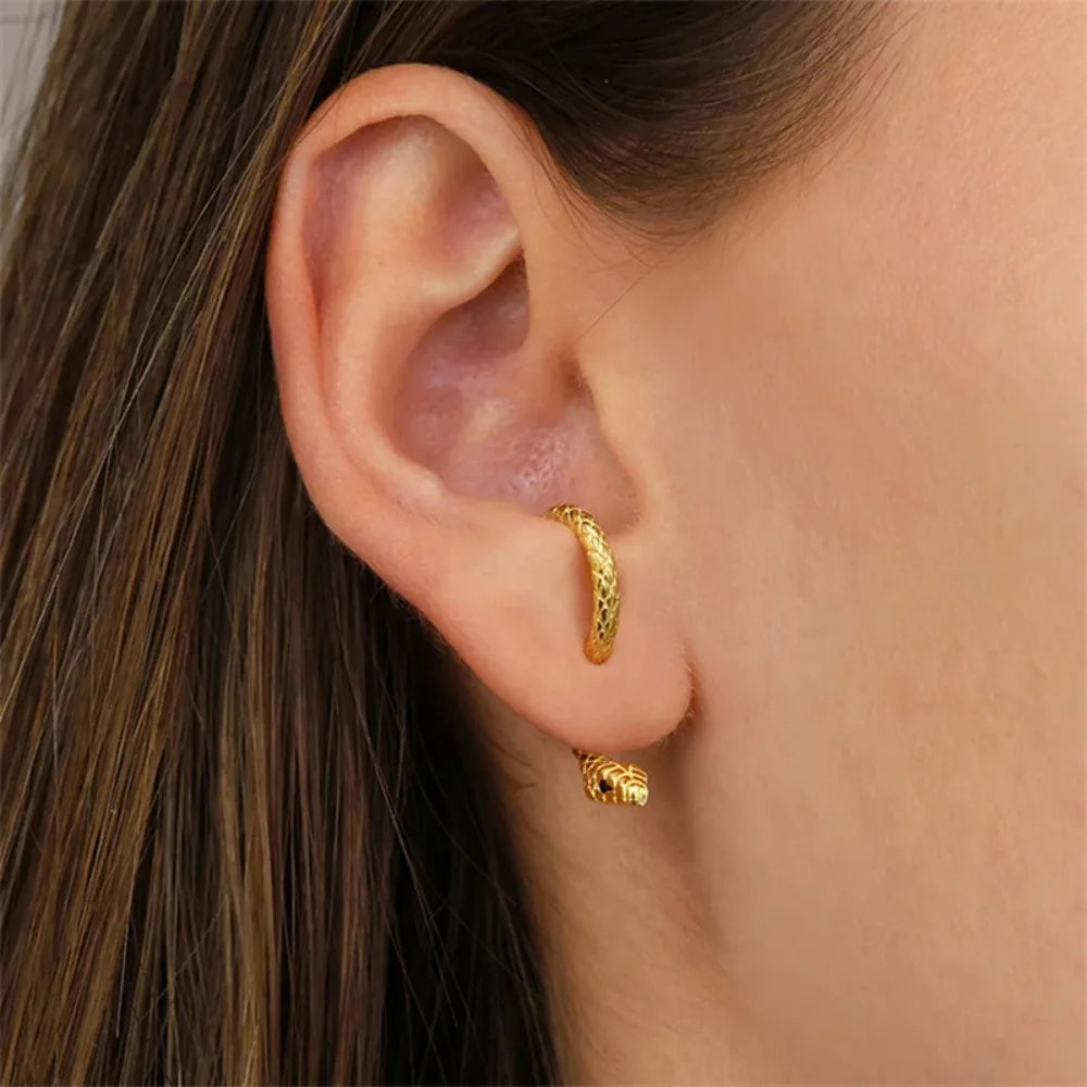 Formes d'animaux clous d'oreilles exquis gothique serpent boucles d'oreilles rétro mode Punk goujons boucle d'oreille accessoires personnalité fille bijoux