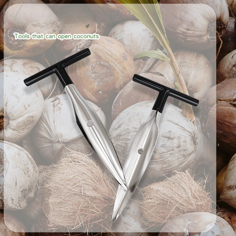 Perce noix de coco
