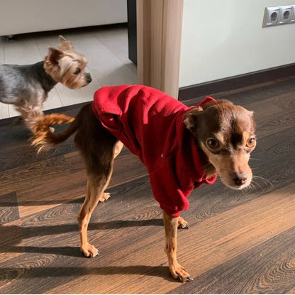 Sweats à capuche solides pour animaux de compagnie, vêtements pour petits chiens, manteau pour chiot, vestes, sweat-shirt pour Chihuahua, costume pour chien et chat, tenues en coton