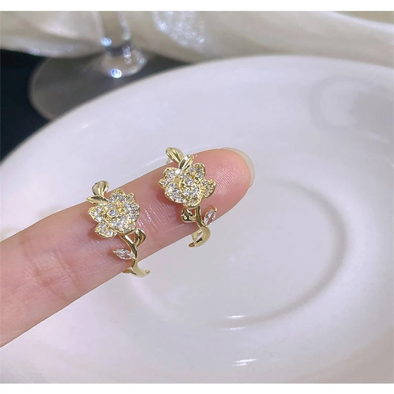 Boucles d'oreilles feuilles zircon