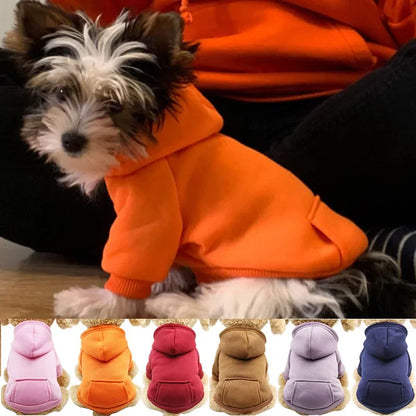 Sweats à capuche solides pour animaux de compagnie, vêtements pour petits chiens, manteau pour chiot, vestes, sweat-shirt pour Chihuahua, costume pour chien et chat, tenues en coton