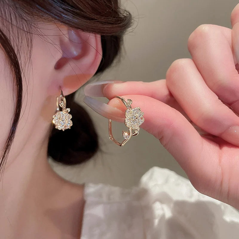 Boucles d'oreilles feuilles zircon